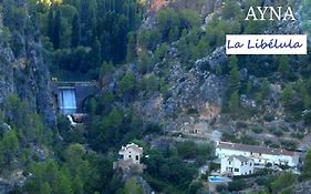 Casa Rural La Libelula Ayna